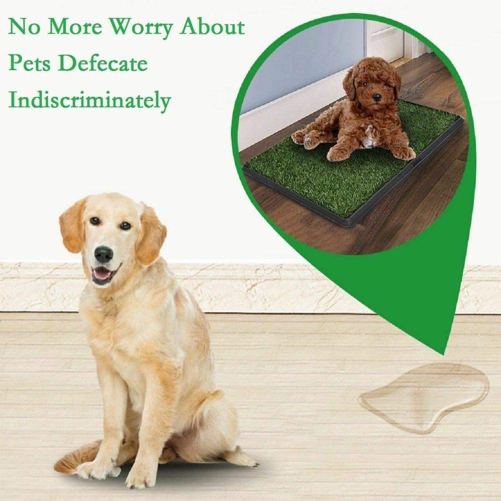 Indoor Outdoor Dog Potty Trainer 20" X 25" A30805