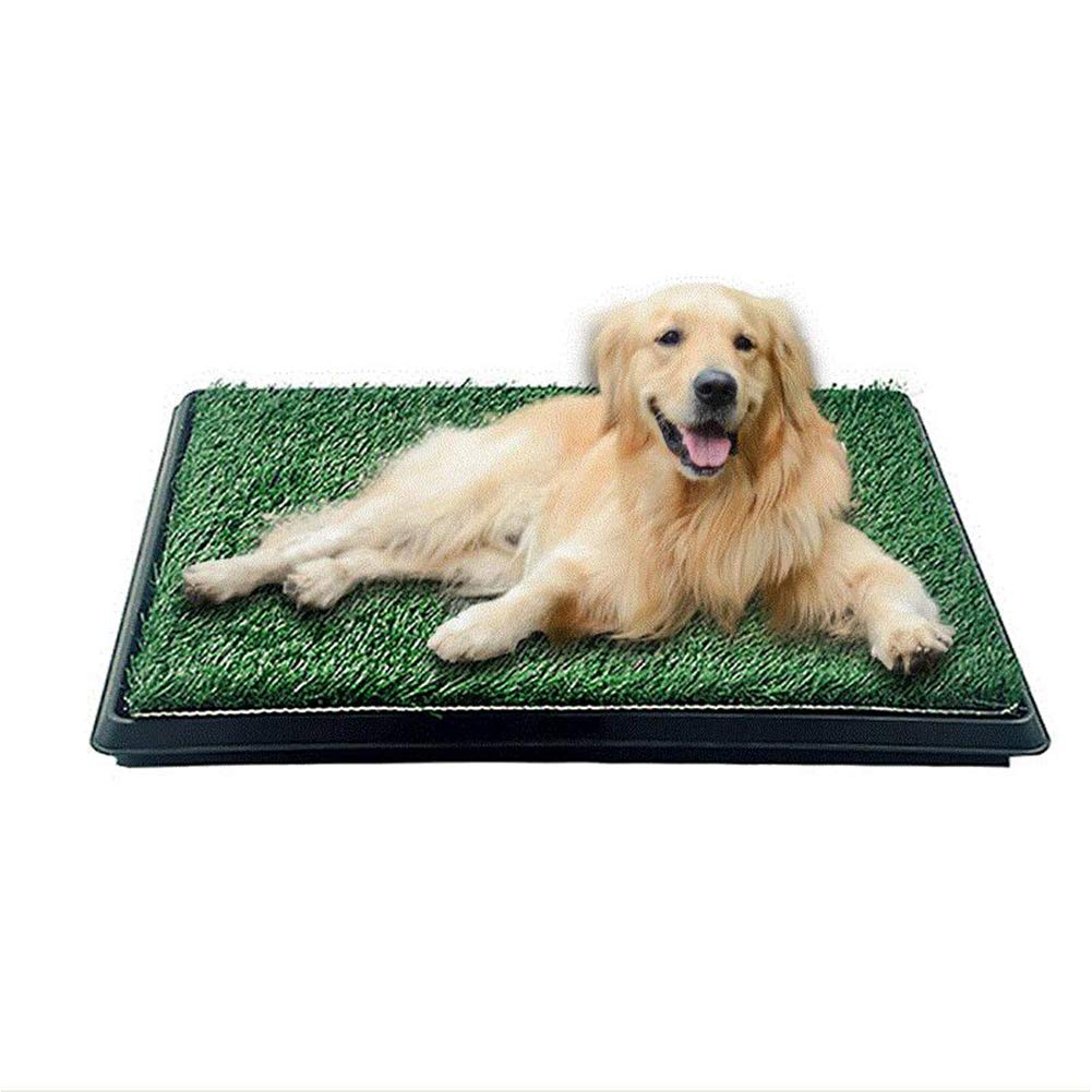 Indoor Outdoor Dog Potty Trainer 20" X 25" A30805