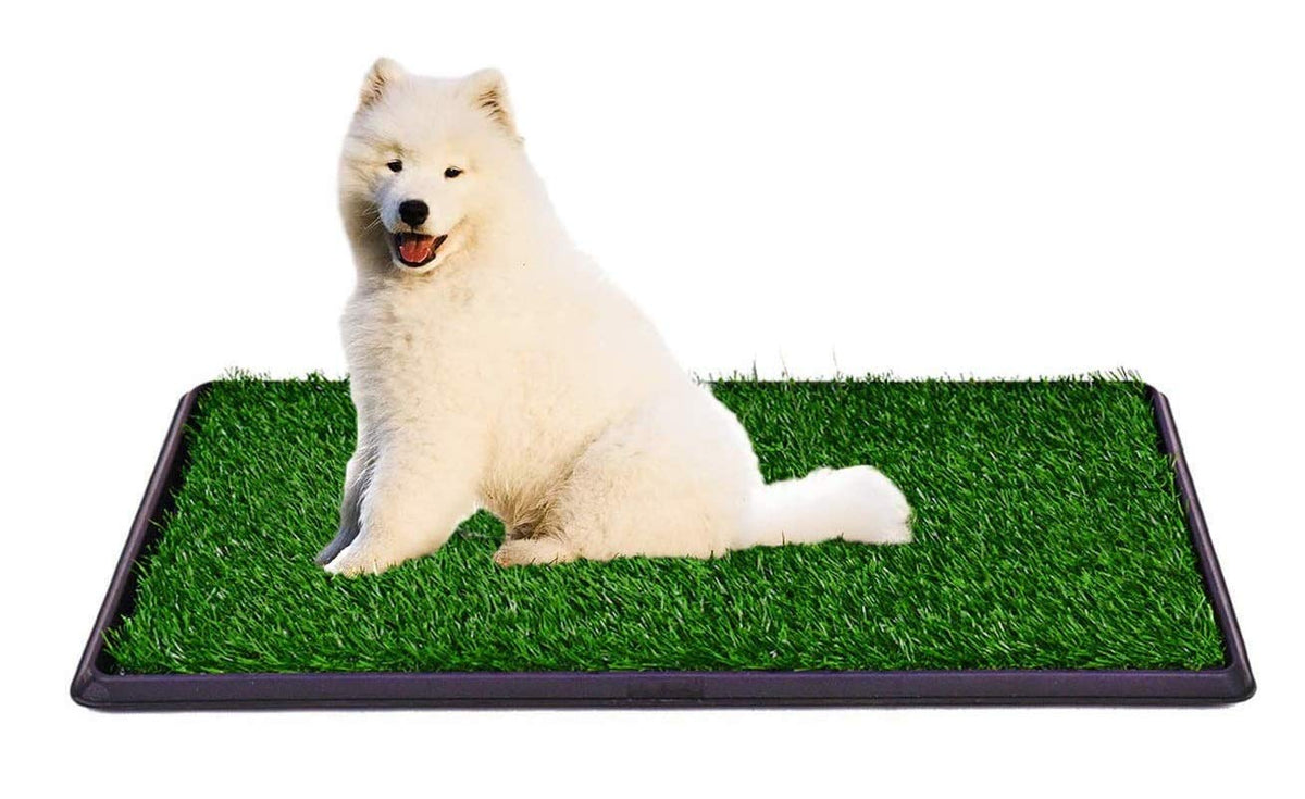 Indoor Outdoor Dog Potty Trainer 20" X 25" A30805