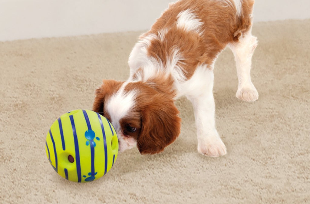 Interactive Dog Toy R51735