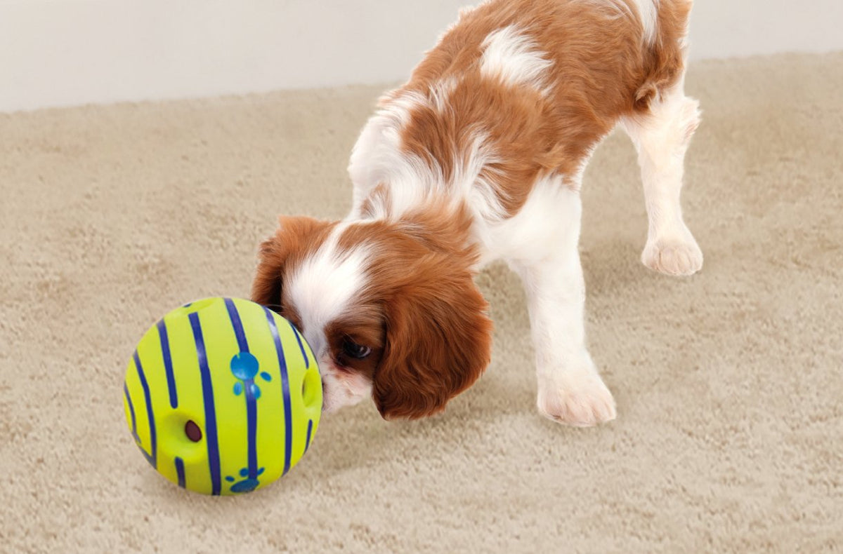 Interactive Dog Toy R51735