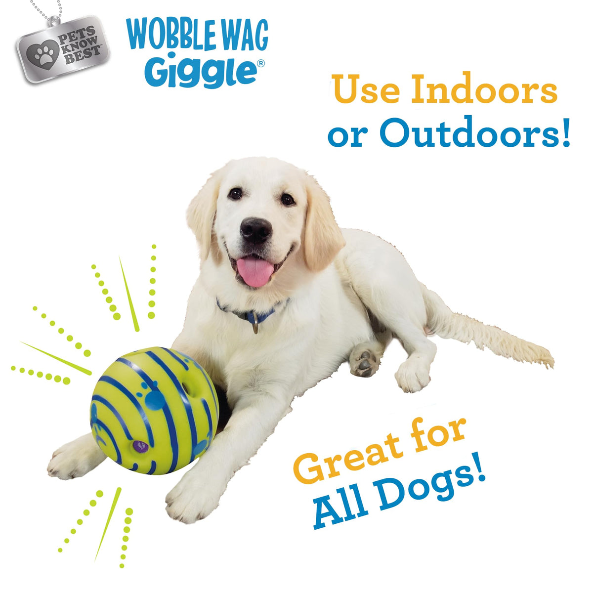 Interactive Dog Toy R51735