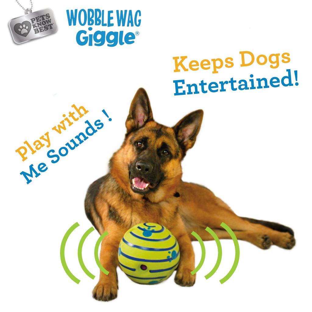 Interactive Dog Toy R51735