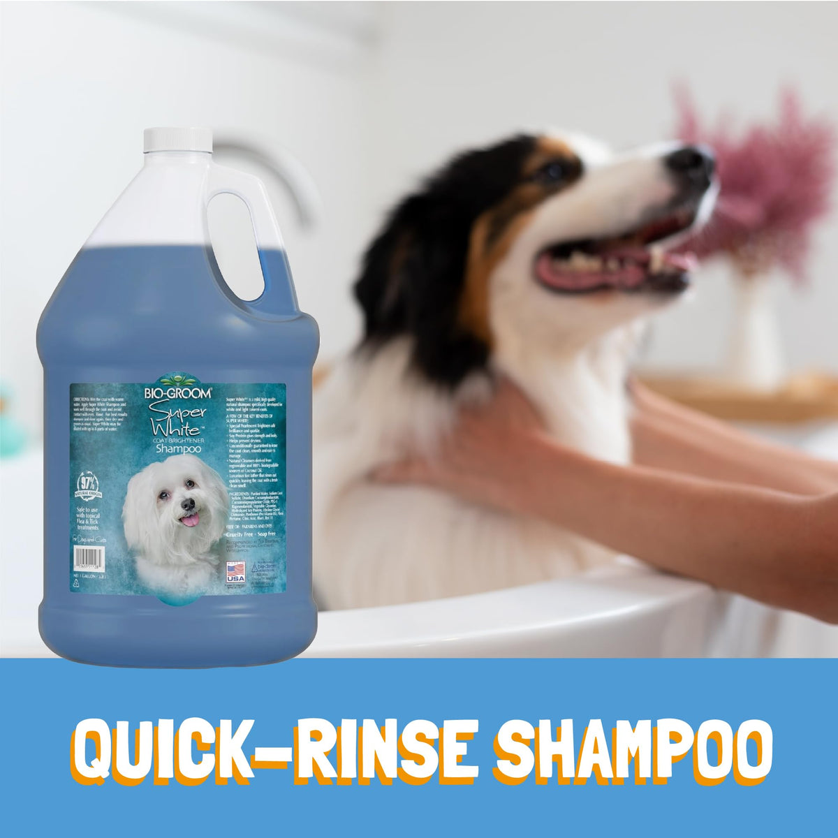 Whitening Dog Shampoo 1 Gallon Q178