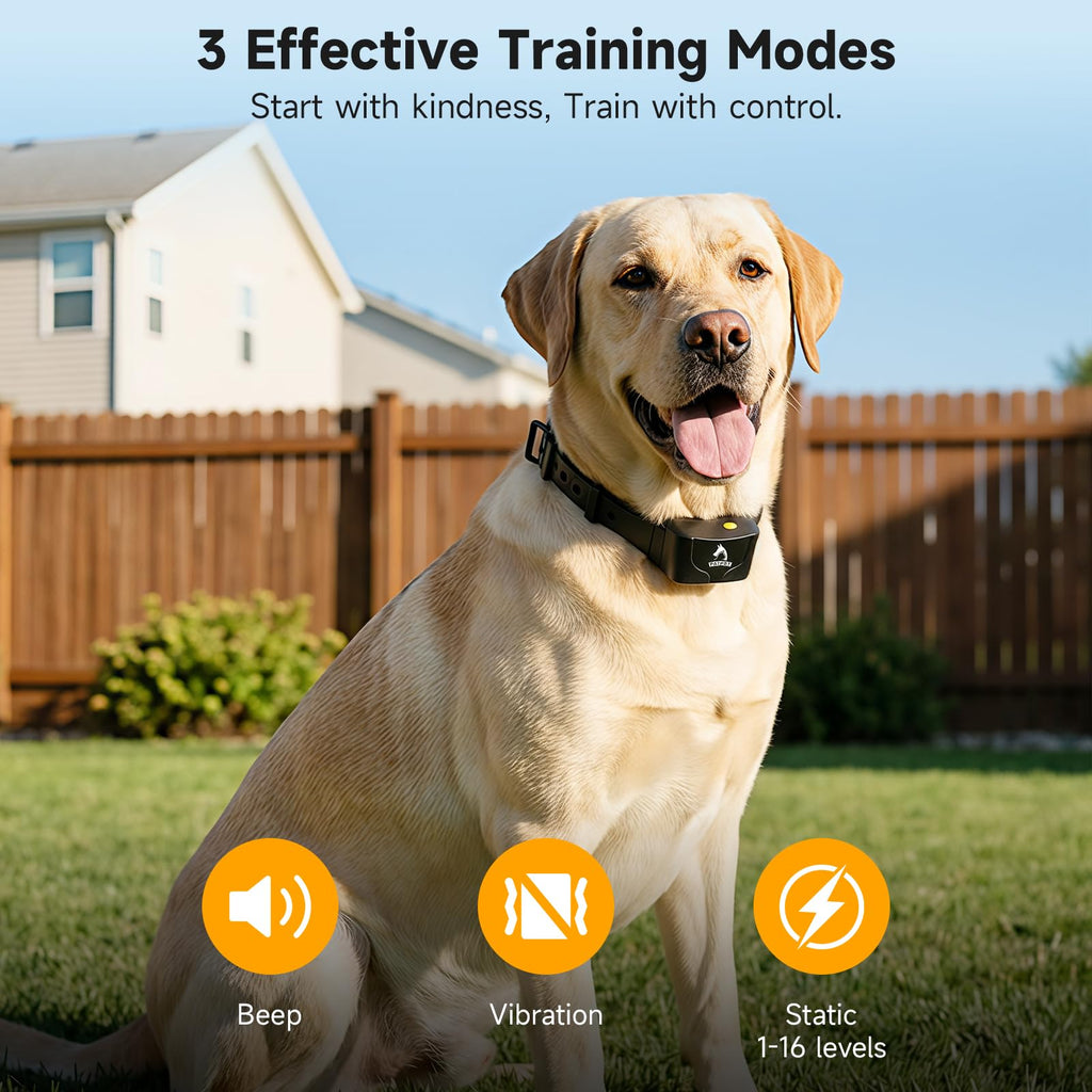 Dog Training Collar IPX7 Waterproof G9951