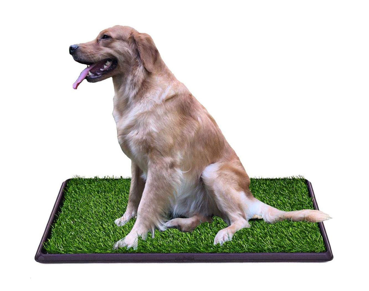 Indoor Outdoor Dog Potty Trainer 20" X 25" A30805
