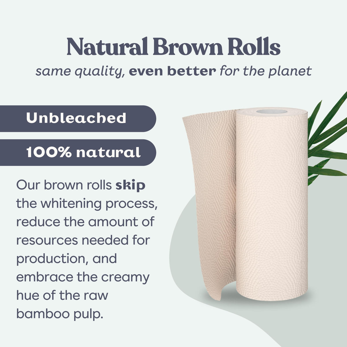 Bamboo Paper Towels 8 Rolls 2 Ply N841798