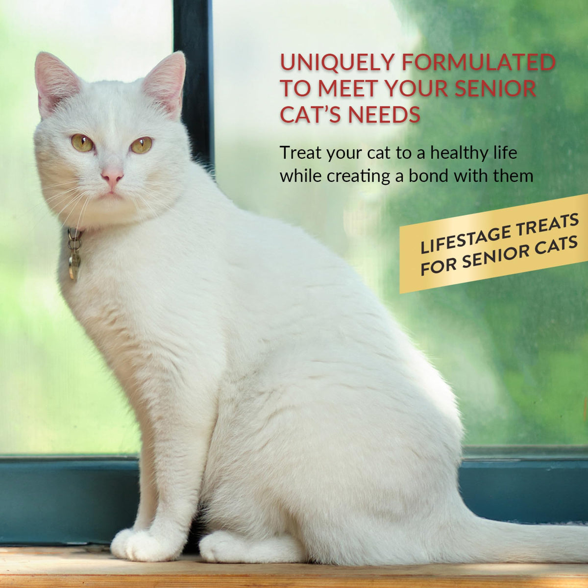 Lickable Cat Treats Tuna Chicken Variety 60ct X399