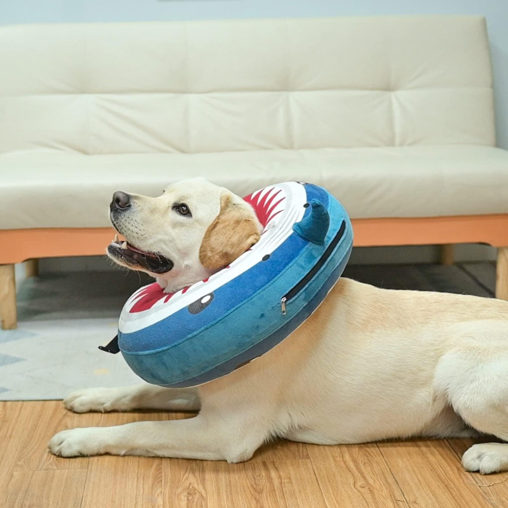 Dog Cone Collar Alternative J891875