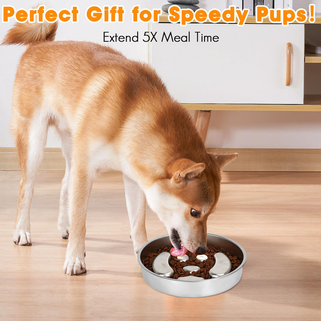 Stainless Steel 2 Pack Slow Feed Dog Bowl Z640