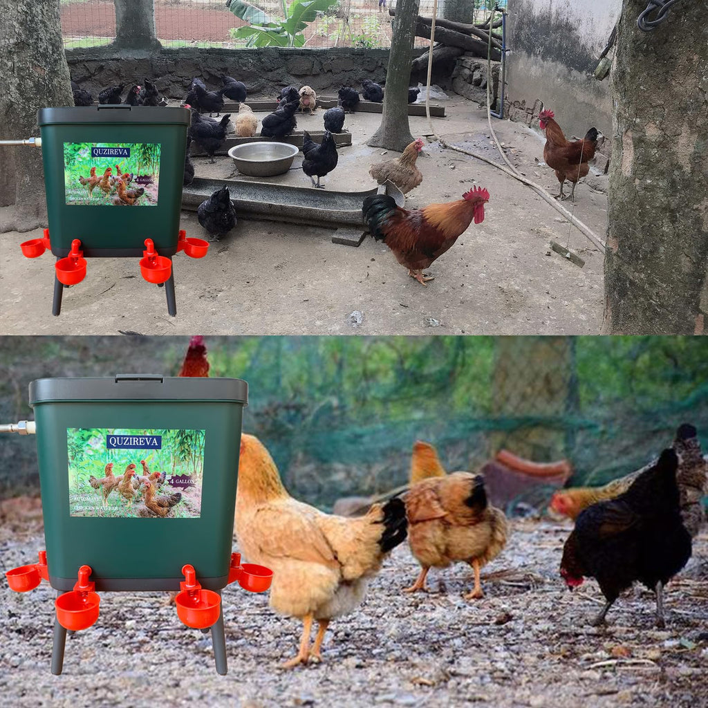 4 Gallon Automatic Float Controlled Poultry Waterer with Hose and Cups G816
