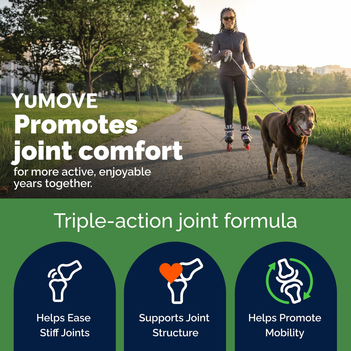 Senior Dog Hip & Joint Supplement 120ct M3475