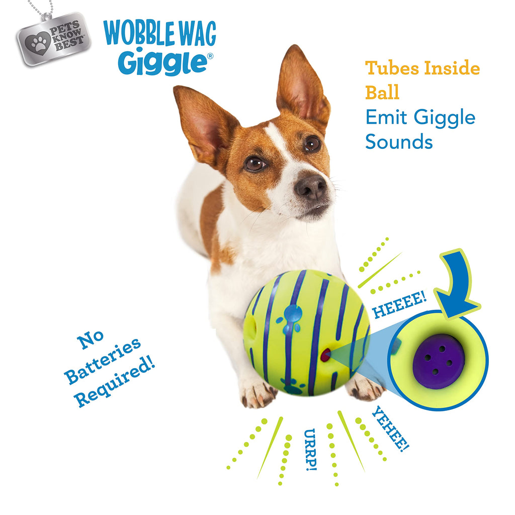 Interactive Dog Toy R51735