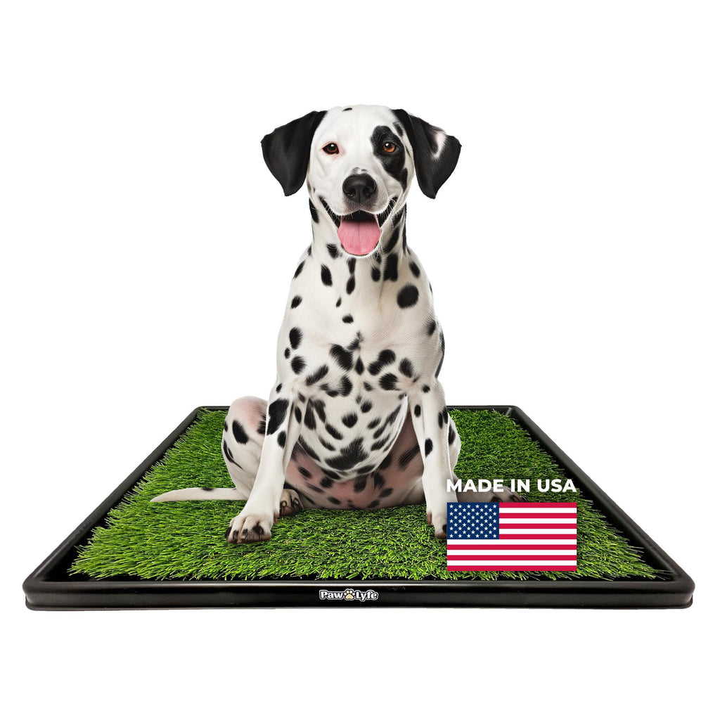 Artificial Grass Dog Potty with Tray E1342