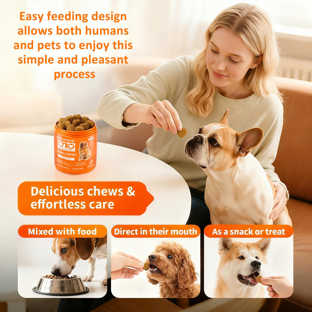 Bacon Flavor 120 Count CoQ10 Chews for Dogs T716778