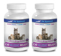 Cat Skin and Coat Supplement Chewable Tablets U991