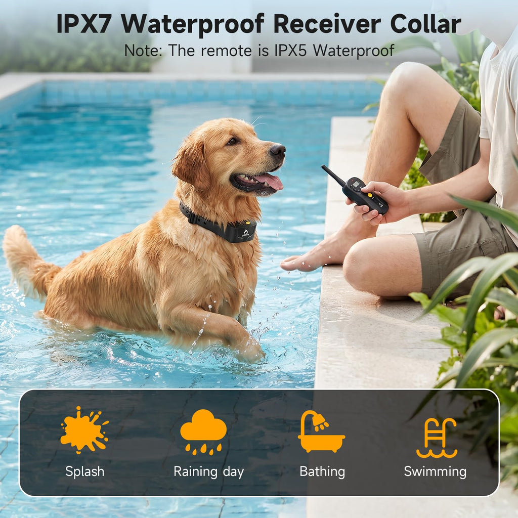 Dog Training Collar IPX7 Waterproof G9951