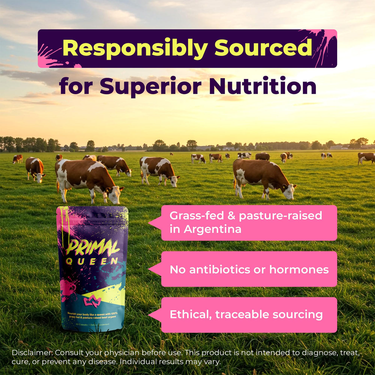 Grass Fed Beef Organ Supplement, 60 Capsules B922119