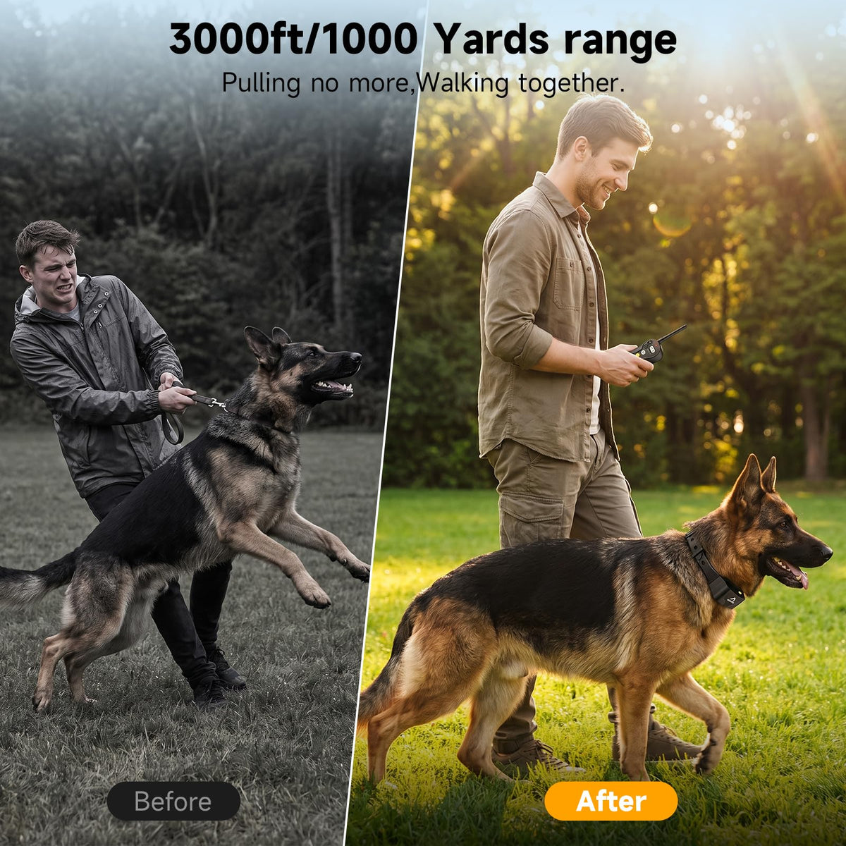 Dog Training Collar IPX7 Waterproof G9951