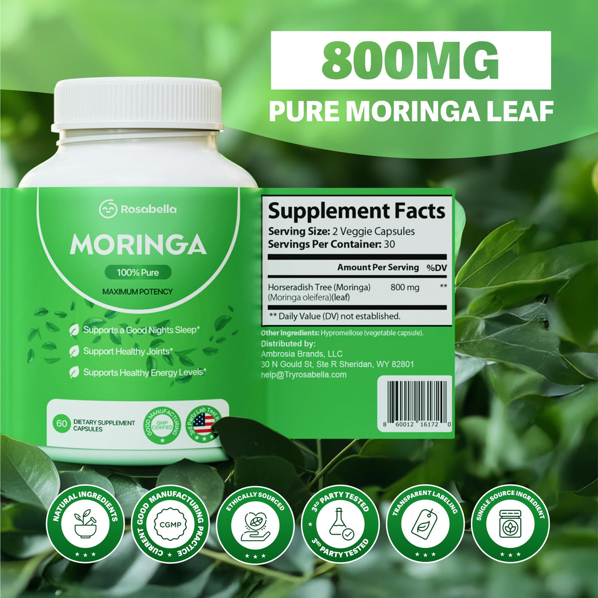 Moringa Capsules 120 Count J70466