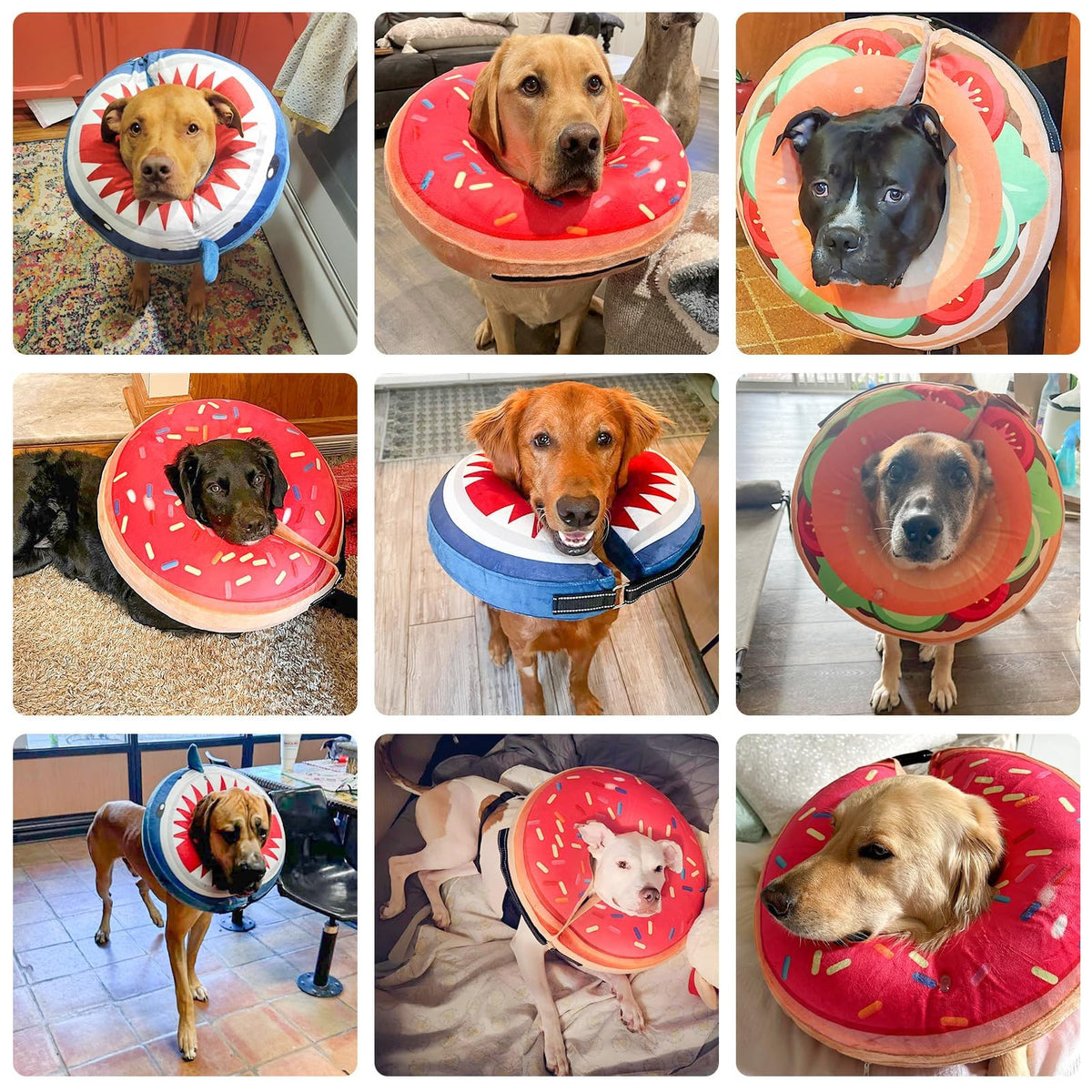Dog Cone Collar Alternative J891875